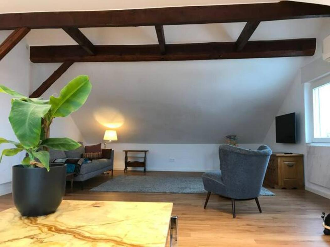Luxury Top Floor Appartment Кассель Екстер'єр фото